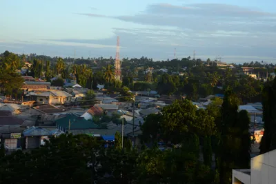 DSC_9748 (Large).JPG